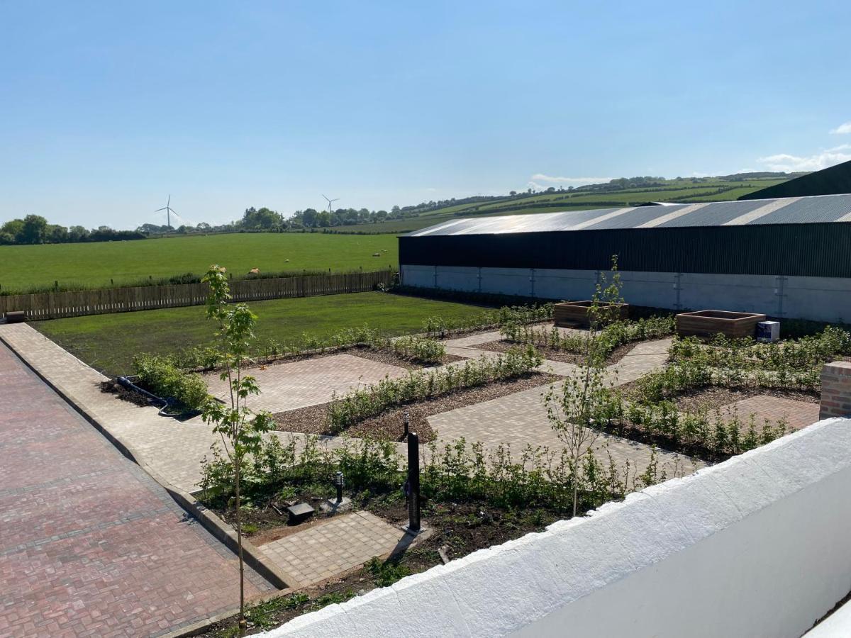 Ballymullock Barn Lofts Carncastle エクステリア 写真